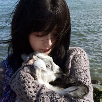 大红狗克里弗 在线观看