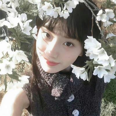 蜂蜜与四叶草第一季 在线观看
